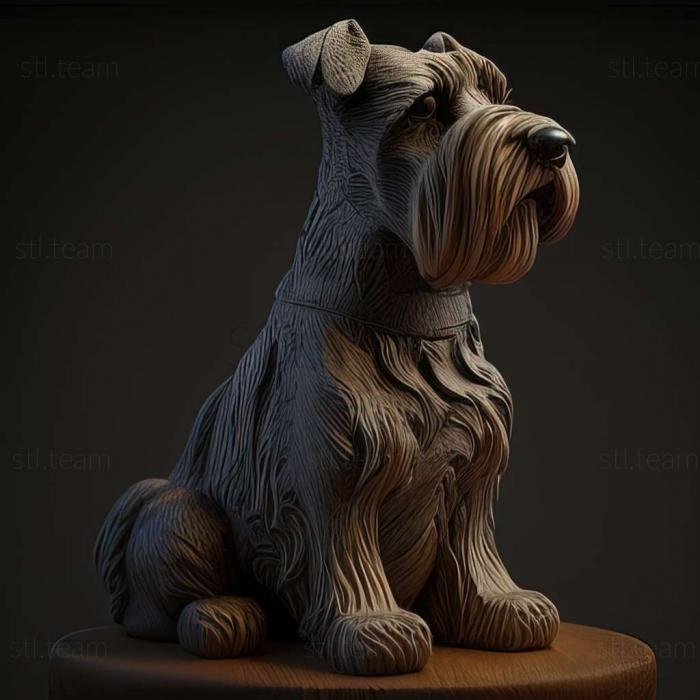 Zwergschnauzer dog